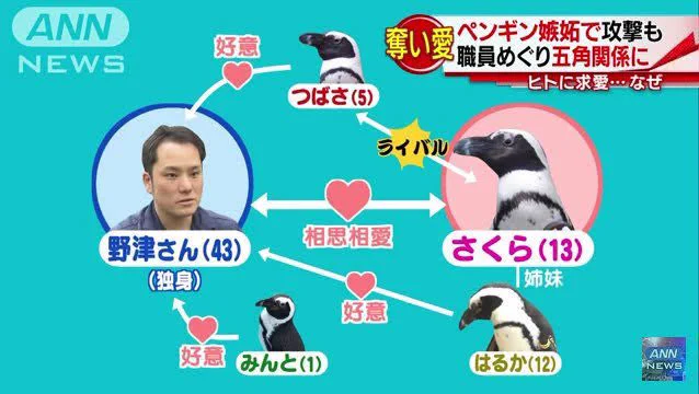 @w_kir_w レベル99 