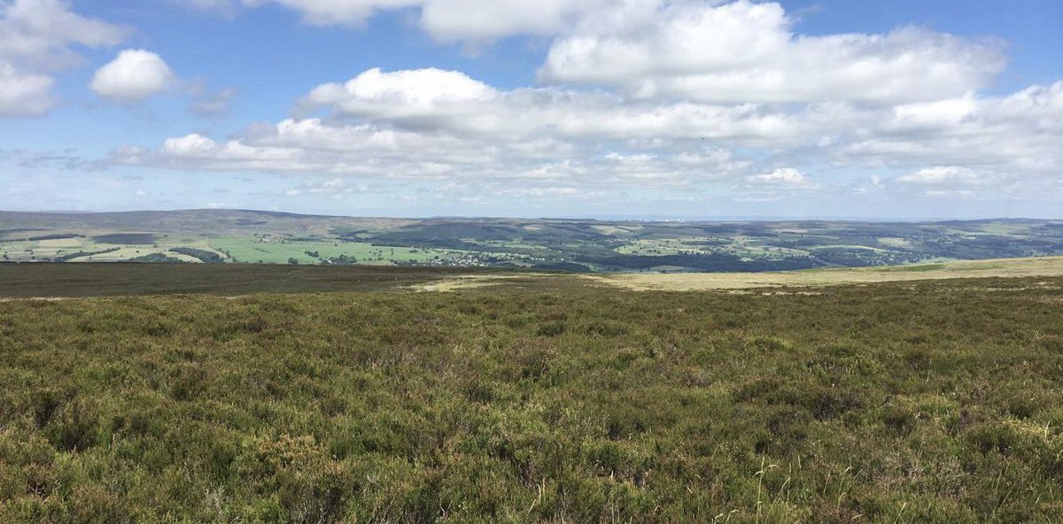 Wishing you all a great Saturday!!
If your in the Uk don’t let this weather go to waste, touch grass 😍