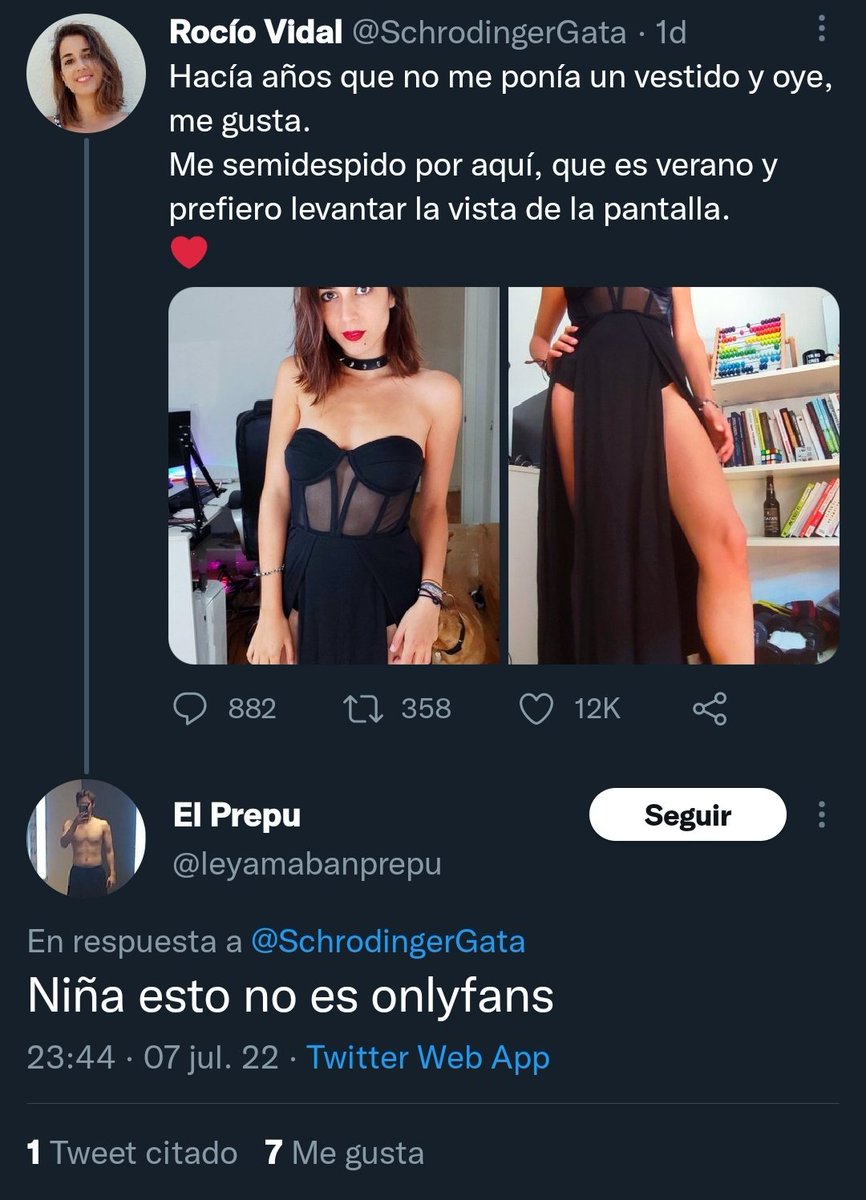 Rocío Vidal tweet media