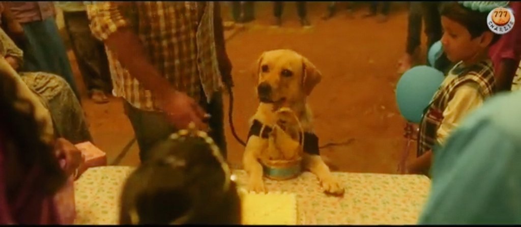 Sachin_950's tweet photo. @Kiranraj61 What else could be more DIVINE than this!!? 🐕❤️😍🥰😘 #777CharlieDeletedScene https://t.co/WJUKwvkRdt