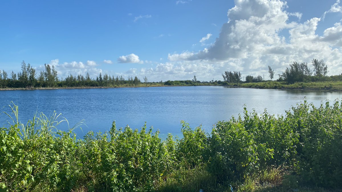 cazaratas's tweet photo. #keysgate Miami 🌴🌞 https://t.co/jORIXrNU8c