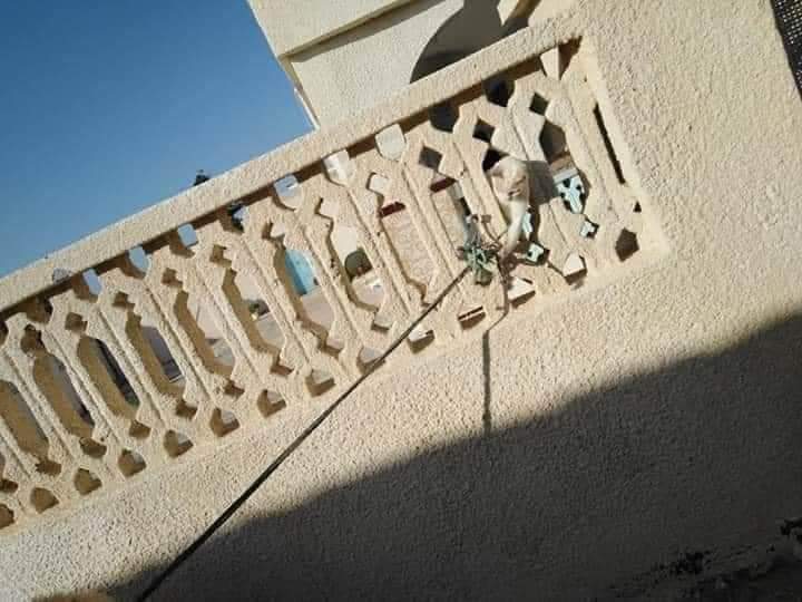 حتى لا ننسى ...

أشهر محاولة تهريب وإنقاذ حتى الأن 😂
