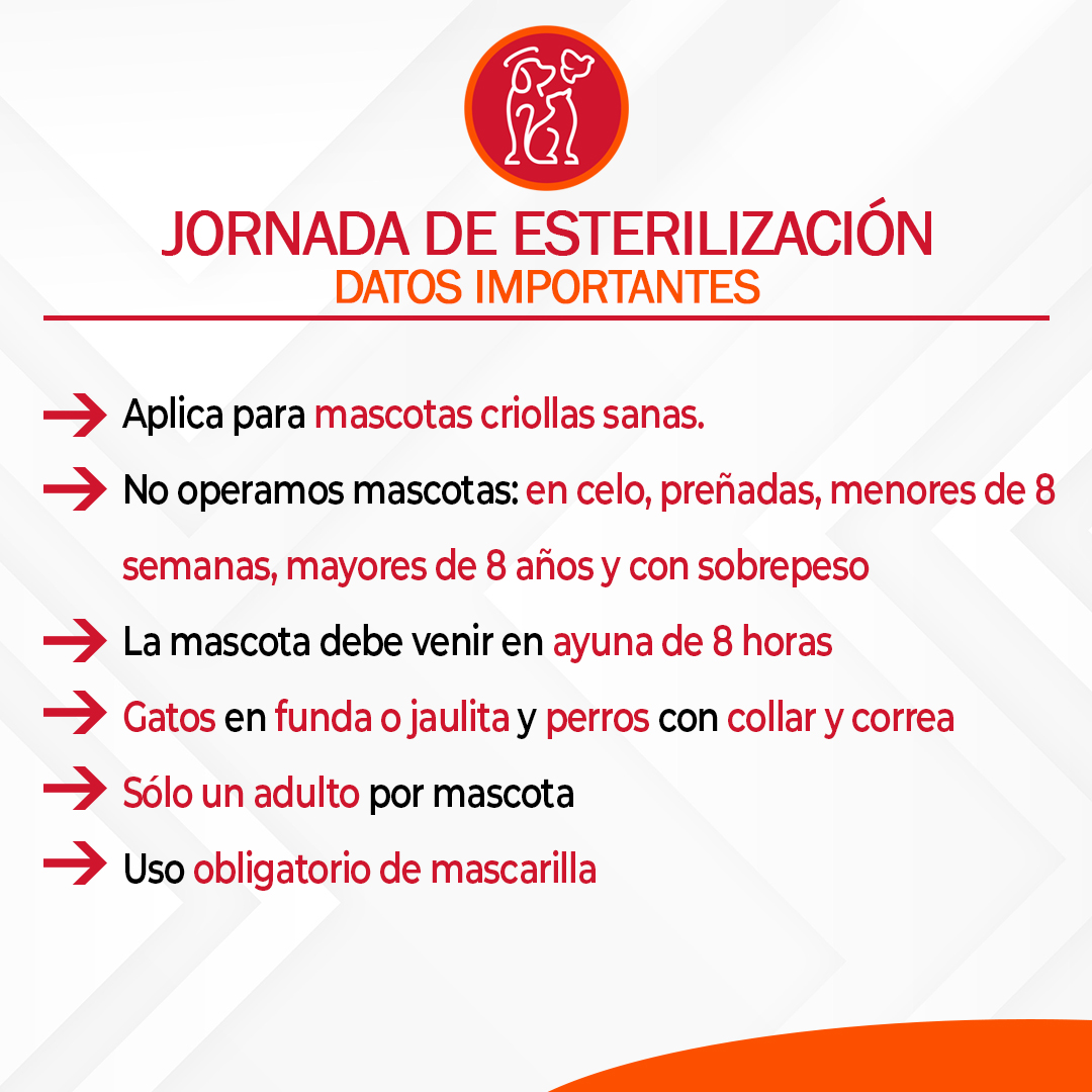 Fundación San Francisco de Asís ( FUNDASIS ) tweet media