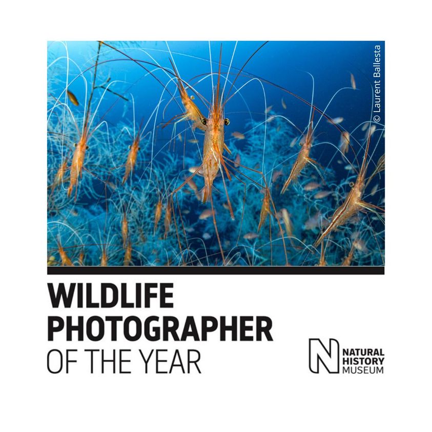 The Beacon Museum
Next Tuesday (12th July), we have the fantastic Mike James talking about the History of Muncaster 2-4pm.  We welcome anyone over 16. £5 pp. History of Muncaster Van Gogh Sunflowers The gardens Conservation Book of Spells and tasting of an 18th Century Mead