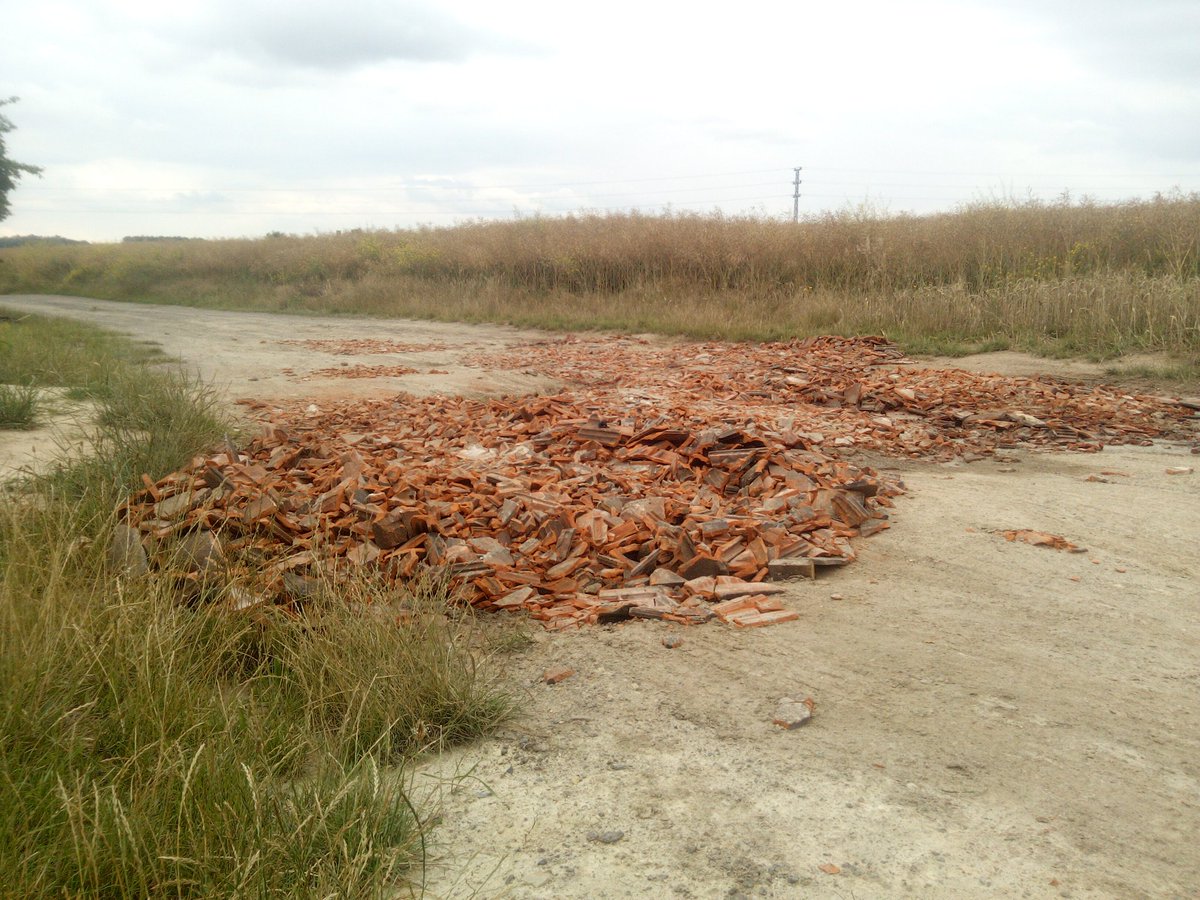Ještě nedávno na téhle polní cestě byly mělké prohlubně, které se po deštích zaplnily. Létali sem pít stehlíci, strnadi, vrabci polní a mnoho dalších. Teď je cesta zasypaná. Asi aby se zemědělcům líp jezdilo. Nevím.

💦 Každá kaluž, byť se vám zdá nevýznamná, může mít smysl.