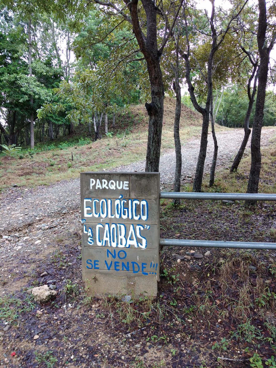 RedesCombinadas's tweet photo. #RedesCombinadas #RedesComunica #ParqueLasCaobasNOSEVENDE https://t.co/vVIU4keHPp