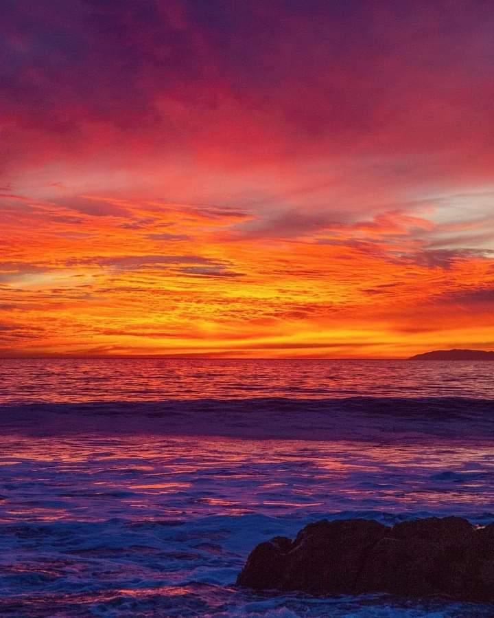 Orange County California ...
Photo by lauren_fishphotography...