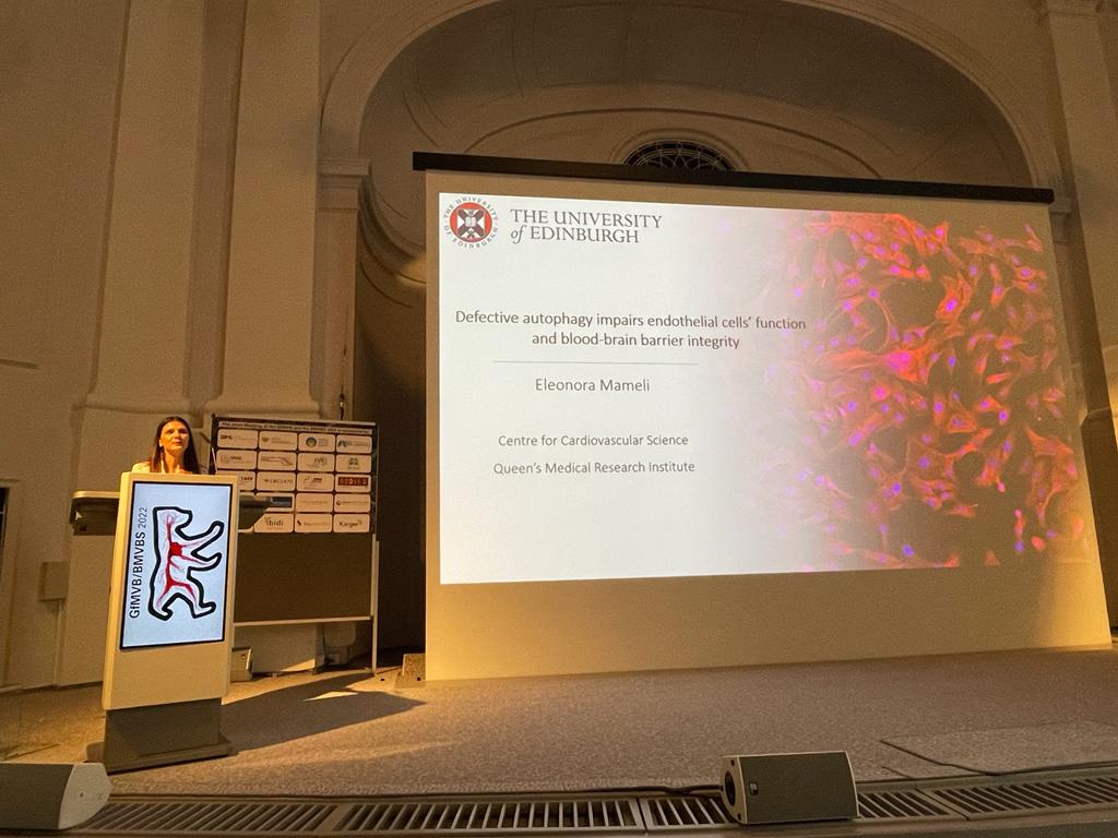 Eleonor0407's tweet photo. Finally my first in-person #vascularbiology meeting! I was happy to present my work in @caporalilab regarding autophagy in endothelial dysfunction and blood-brain barrier integrity and to receive a travel award by the @BMVBSoc at the joint #BMVB and #GfMVB meeting 2022 in Berlin! https://t.co/W3f4N1j5JG