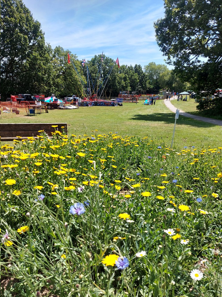 dorerec's tweet photo. Come down to @dorerec for the Dore Scouts Gala. A beautiful afternoon for it. Plenty of food and fun on offer 1pm-5pm. https://t.co/ZoBxZhMiyk
