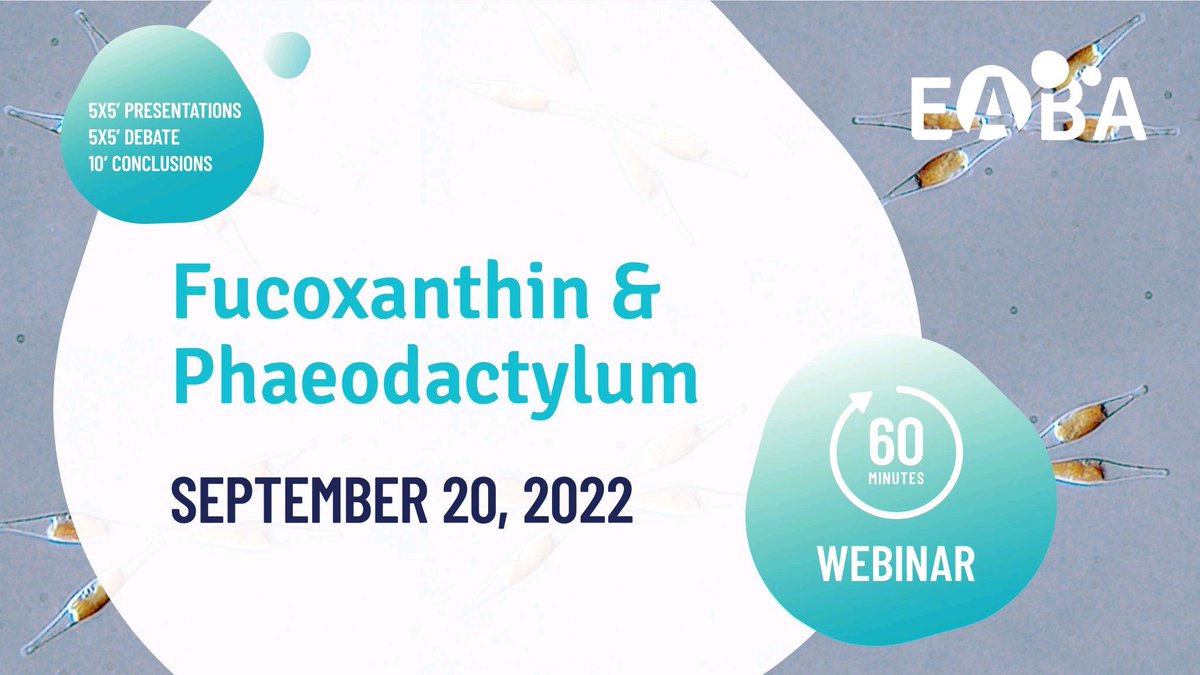 EABA_Algae's tweet photo. 💡 "Fucoxanthin & Phaeodactylum" ⚗🧬💊: time to register!
Do you want to discover one of the most promising marine biomolecule?
More info and registration: https://t.co/dzPg7gqw7d
#algae #microalgae #diatom #phaeodactylum #fucoxanthin #pigment #nutraceutic #pharma #cosmetics https://t.co/W2fiCNjVh2