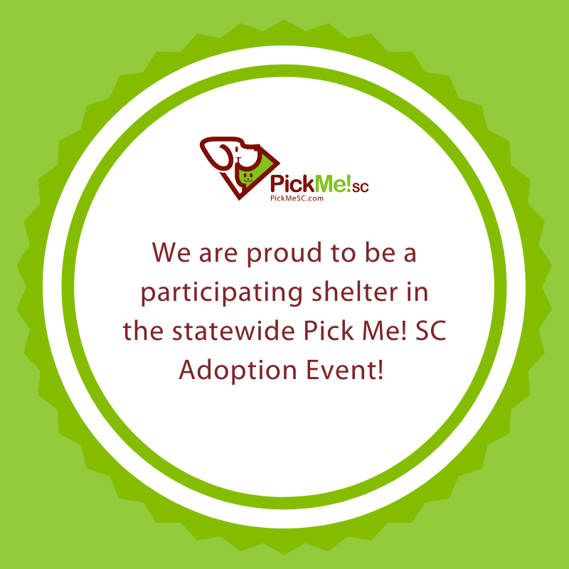 ACAS_PAWS's tweet photo. Our shelter is proud to be a participant in the Pick Me! SC Adoption event until July 17th! Make a difference in a petโs life today during the statewide adoption event #PickMeSC sponsored by @PetcoLove and @NoKillSouthCarolina. https://t.co/iin1yLD3cM