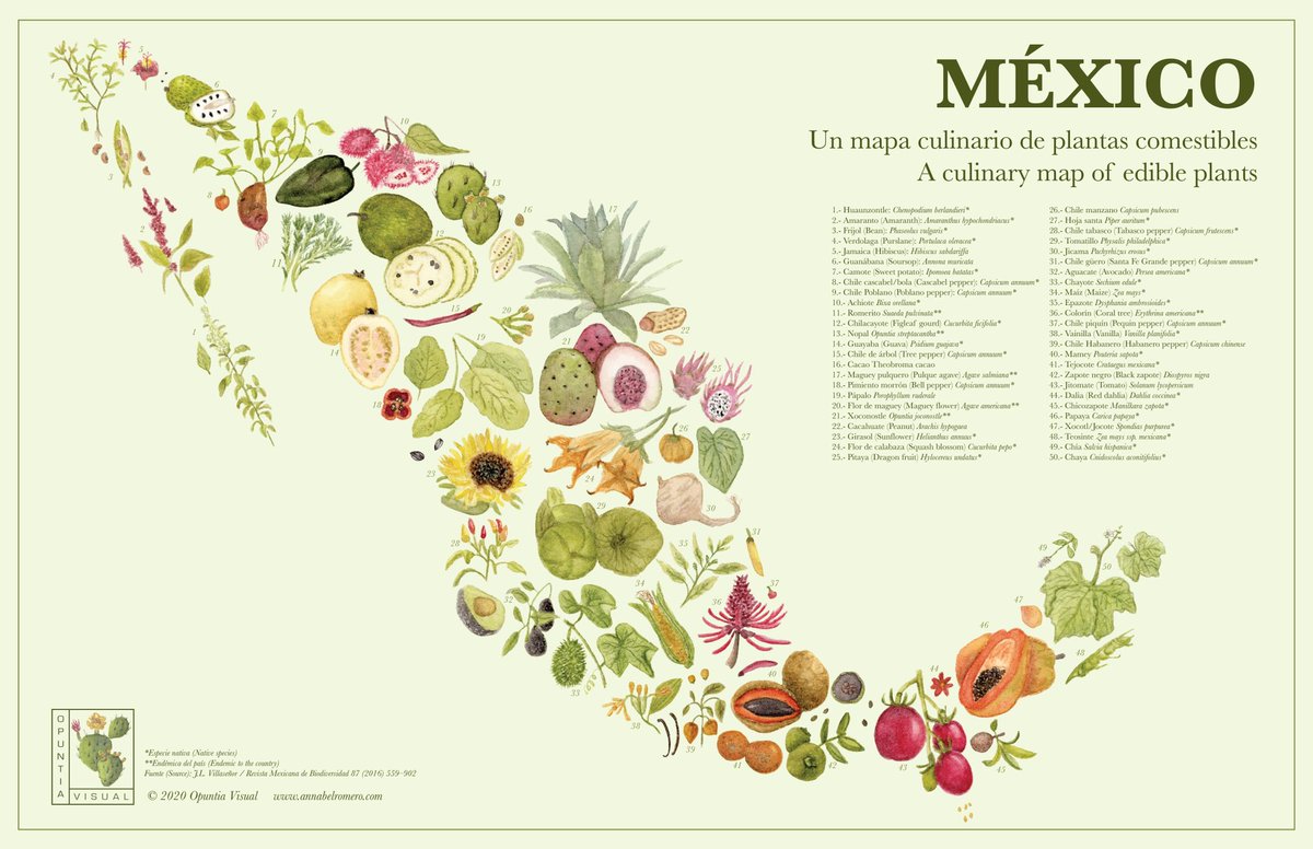 Join me today to hear more about the Mexico map! So excited to be at #PlantBio2022 July 9th at 3:50pm at the Science without borders plenary session (Oregon Ballroom)