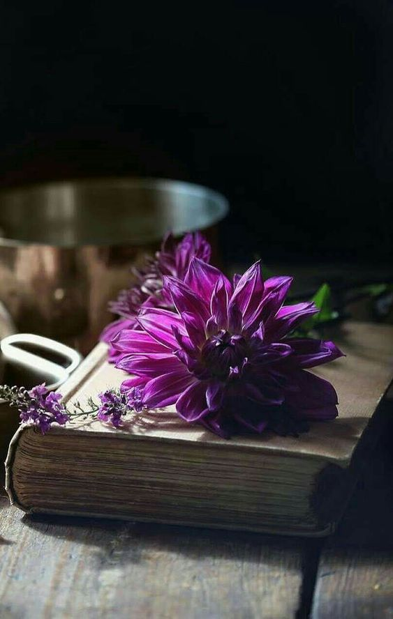 Etiquetando personagens vitorianos e de classe alta — a thread