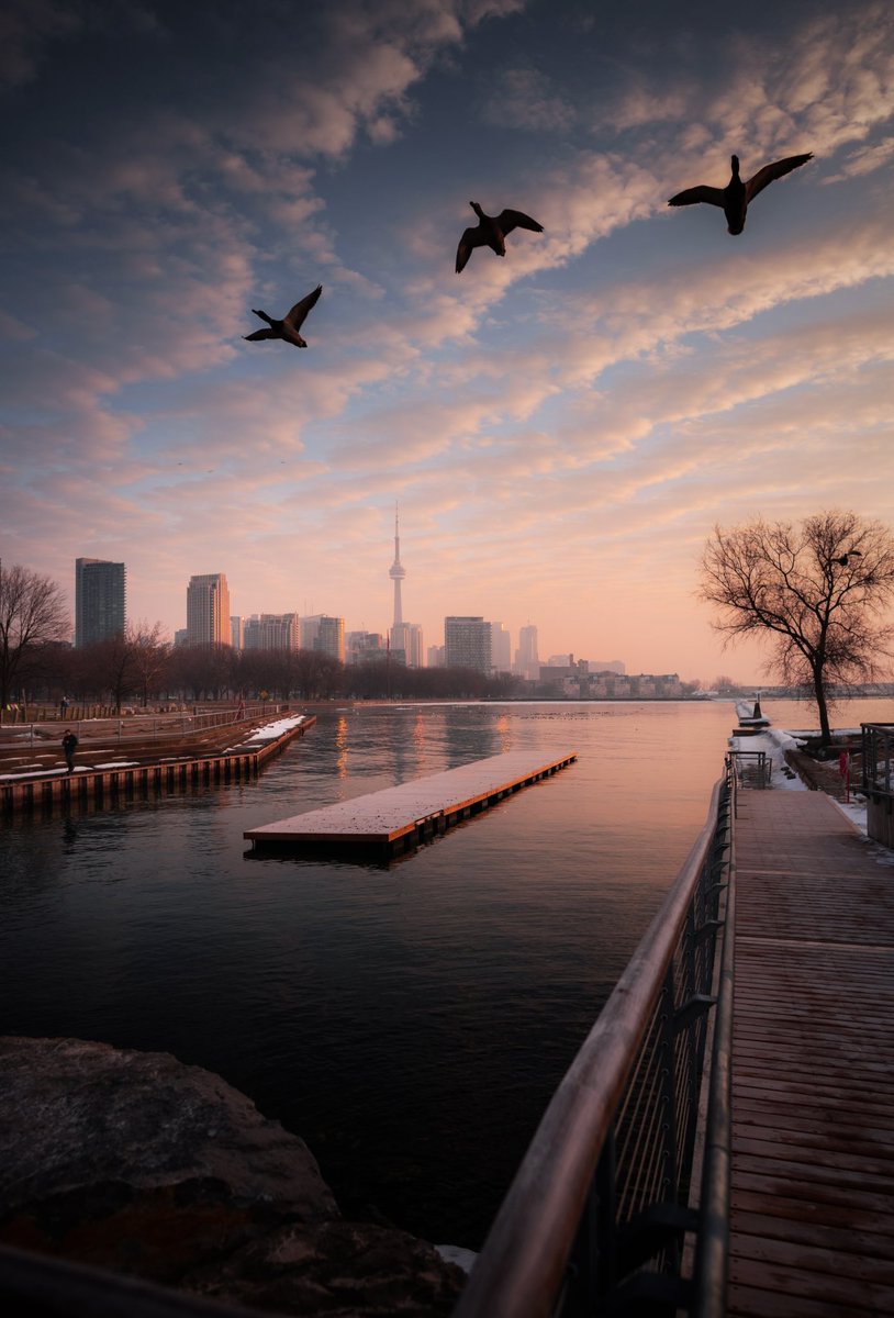 giltamin's tweet image. GM friends 🤝