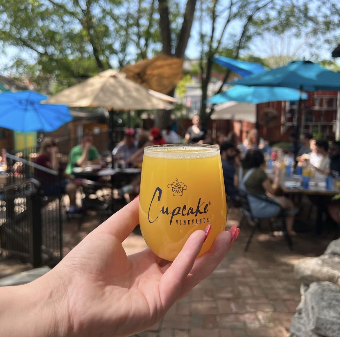 Where's your favorite STL brunch spot? 🍳

Molly's in Soulard serves brunch every Saturday & Sunday from 10AM-3PM! Bloody Mary's, bottomless mimosas, & tons of brunch foods make them one of the BEST in town 🔥

#stlouispodcast #stlouis #brunch #stlouisfood #eatstl
