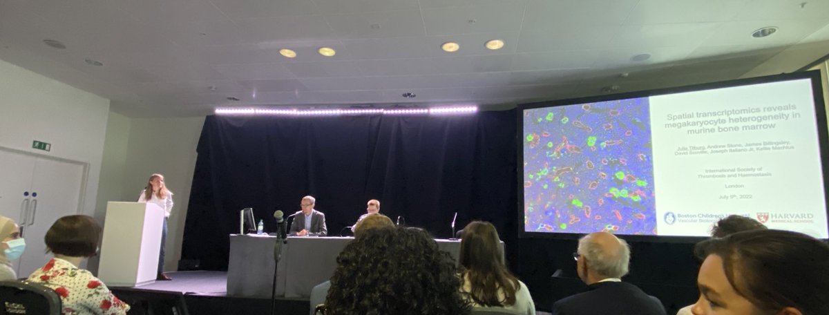 Kellie Machlus (@theclotthickens) on Twitter photo Congratulations to <a href="/julia_tilburg/">JuliaTilburg</a> on a great presentation to an absolutely packed room! #ISTH2022 off to a great start 🎉 Congratulations to <a href="/julia_tilburg/">JuliaTilburg</a> on a great presentation to an absolutely packed room! #ISTH2022 off to a great start 🎉