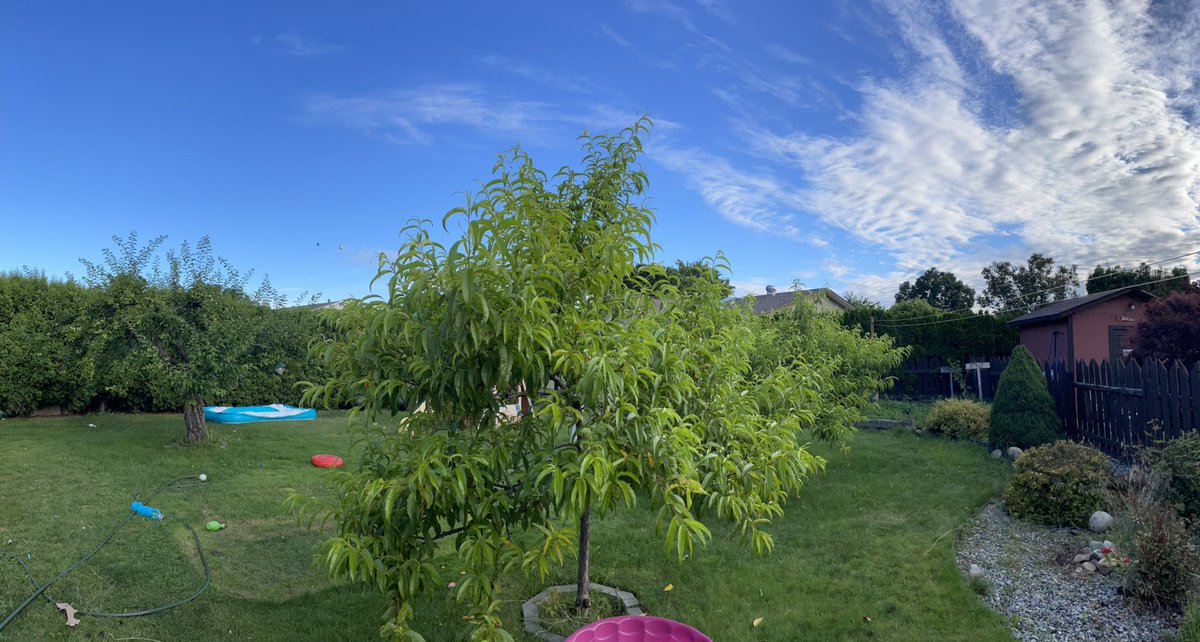 I love early Saturday mornings when the hot air balloon fly over. This morning there were two 🎈🎈