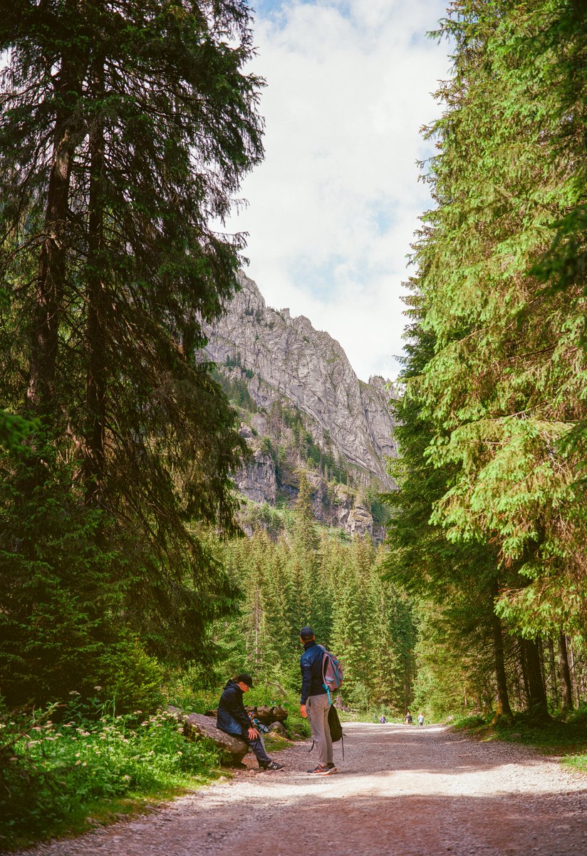 some film photos from a recent trip on the gw690ii 📸