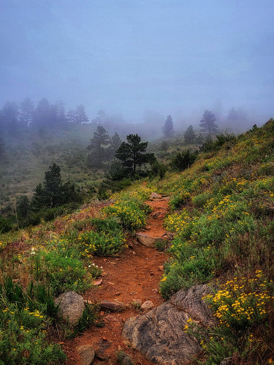 Who loves fog?
Fog is unusual along the Front Range, so it was a rare treat to hike on a foggy morning.
#GoldenCO #HikingAdventures #ExploreColorado