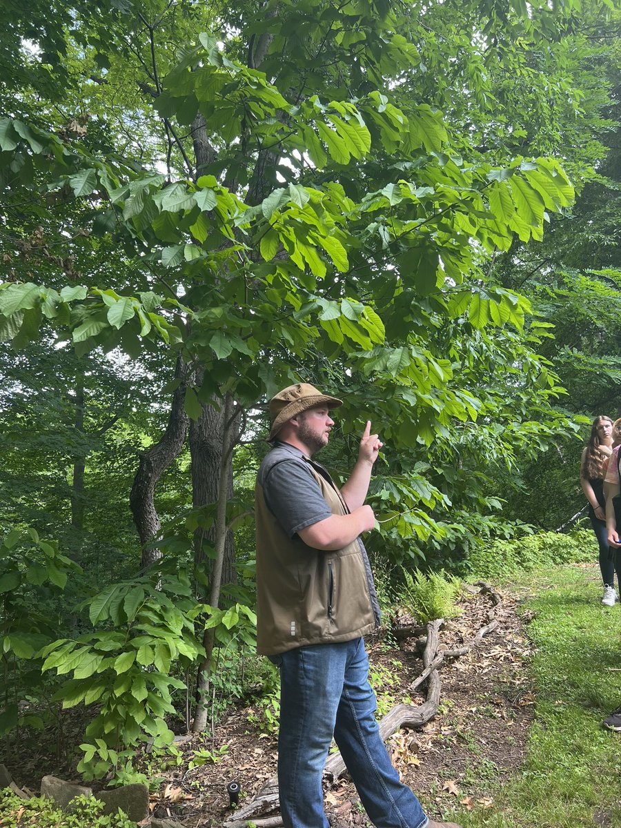 Jodie Williams tweet media