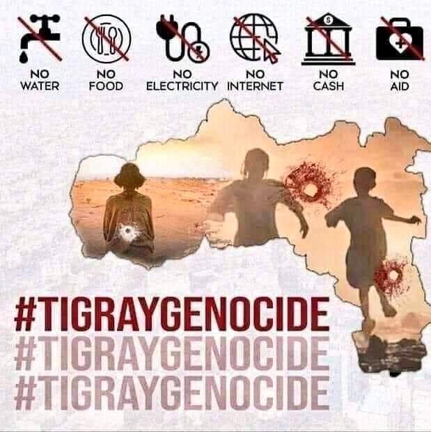Ramomoha12's tweet photo. Accountability for all crimes is a must. There is no way to use territory and sovereignty as a fig leaf for #Genocidalcrimes by the #Ethiopia/n and #Eritrea/n regimes on Tigray killing >500k.
#TigrayGenocide 
#TigrayFamine 
@SecBlinken 
@POTUS
@JosepBorrellF 
@JanezLenarcic https://t.co/FsrJXLBHQn