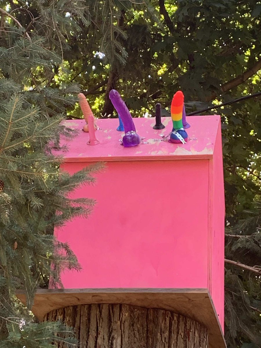 justylonc's tweet photo. @globalnewsto friendly neighbourhood dispute turns in to this ....which my 9 year old daughter has to play under.....this is disgusting. In Burlington Ontario. https://t.co/eBV2ng6q0b