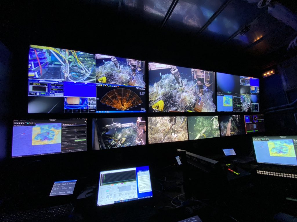 JulesDeep's tweet photo. I missed you seafloor.
#protatax #hydrothermalvents #axialseamount #pacific #deepsea #microbes #ocean #explore #rovjason #controlvan #viewfromtopside #nsffunded https://t.co/ZvMyq1jRtZ