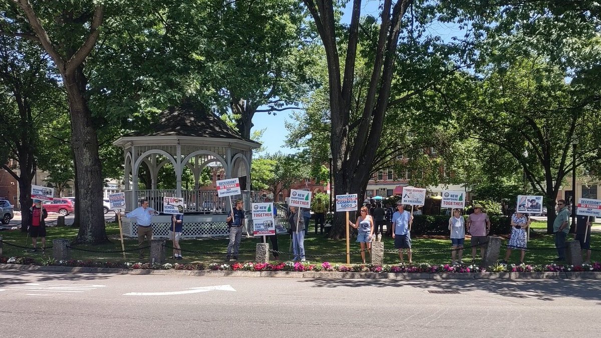 FreeStateNH's tweet photo. New Hampshire Democrats took to the streets today to protest school choice, tax cuts, independence, and liberty

Proving once again New Hampshire is the opposite of everywhere else  #nhpolitics https://t.co/MboAYmkzkH