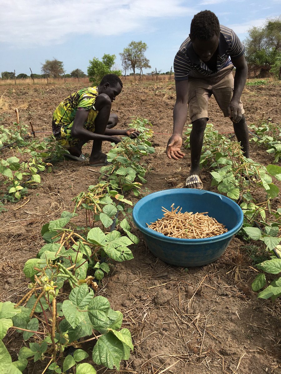 JamesThuch's tweet image. “Happy 11th Independence Day #SouthSudan. 
At @rainmakerorg, we believe “#FoodSecurity is the backbone of stable communities. Investment in agriculture has a far-reaching positive effect on peace, health, &amp;amp; the economy.”

#SustainableAgriculture is the future! #SSOT