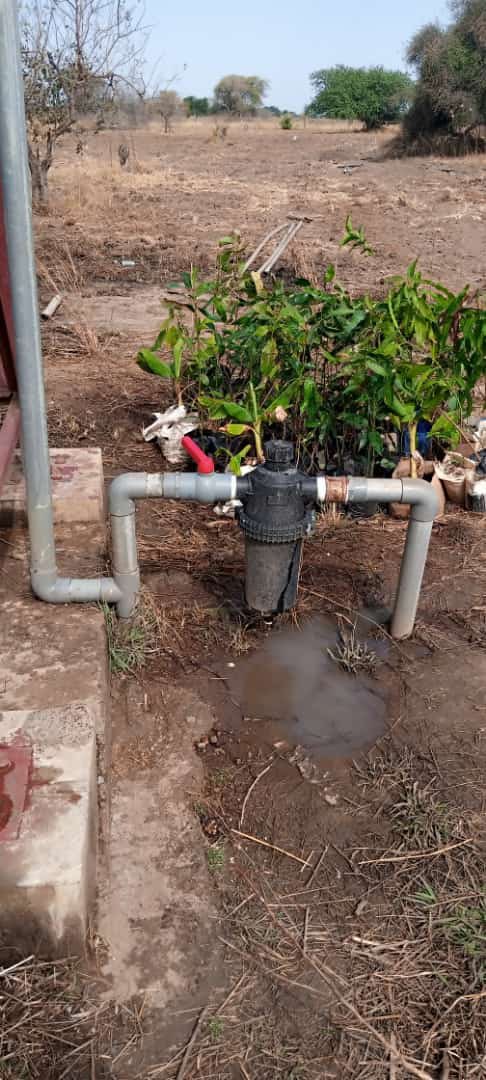 JamesThuch's tweet image. “Happy 11th Independence Day #SouthSudan. 
At @rainmakerorg, we believe “#FoodSecurity is the backbone of stable communities. Investment in agriculture has a far-reaching positive effect on peace, health, &amp;amp; the economy.”

#SustainableAgriculture is the future! #SSOT