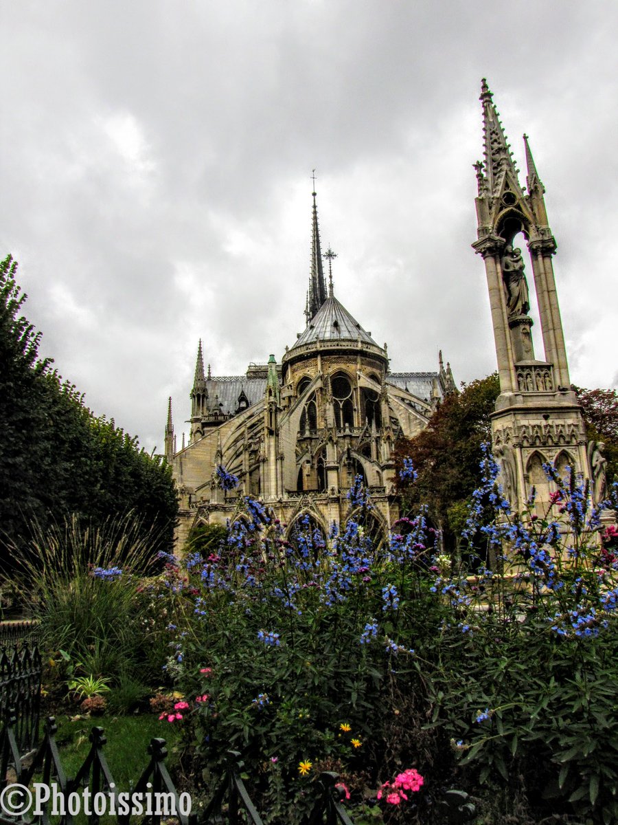 'Notre Dame Nr 1' The view of Notre Dame Cathedral in Paris I like best.
Many of my photographs are available for purchase. Please see the link in my bio for my website.
#photography #art #streetphoto #notredame #notredamedeparis #paris #parisphoto #parisvibes #church #flowers