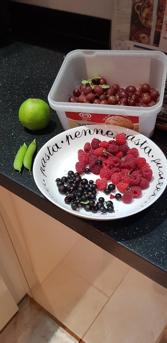 Had a lovely day with @LittleJ3nny on her allotment today. Got some fruit as my reward! Raspberries and blackcurrants with ice cream + red gooseberries to make into gooseberry fool, yummy! I love fresh peas raw,cant wait for more. Also thanks for cooking my tea @MissHibbert2 .