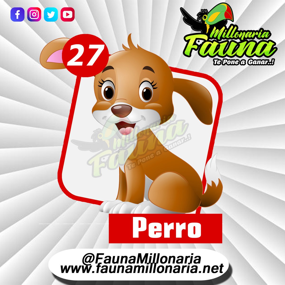 Fauna Millonaria 
Fecha 09/07/2022 
Hora : 3:30 Pm 
27  Perro
Telegram - t.me/minifauna                    
Web : faunavzla.net