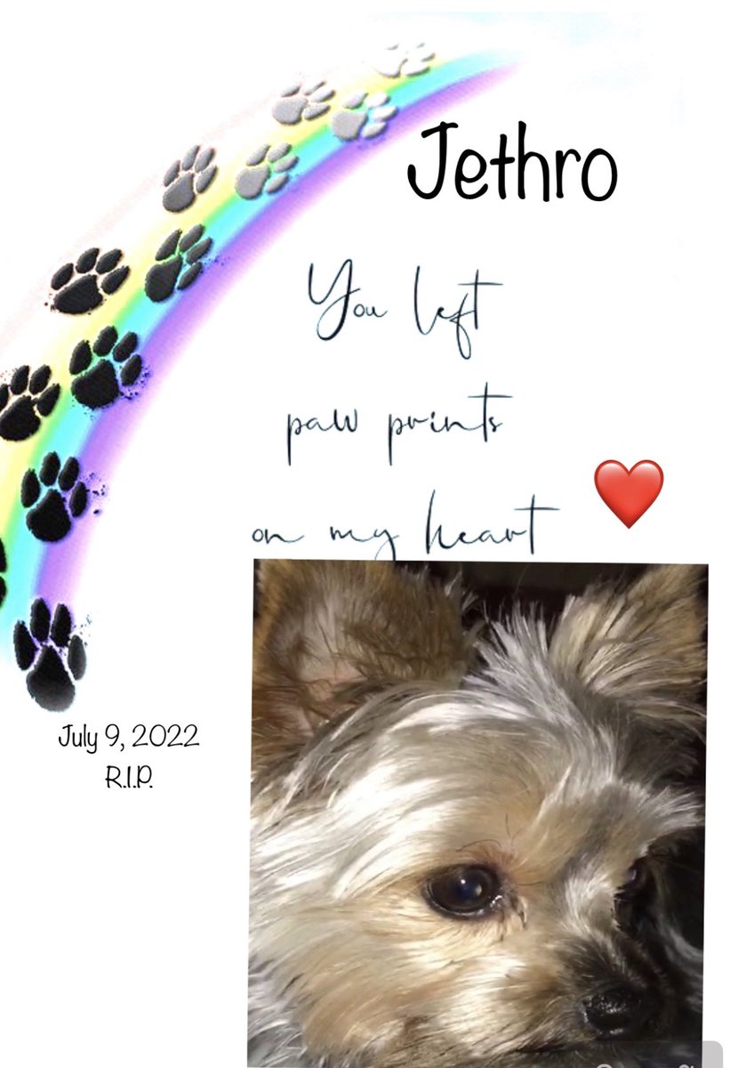 Received a call earlier my support dog, Jethro had a heart attack & passed away early this morning. I’m heartbroken. 🙏💔