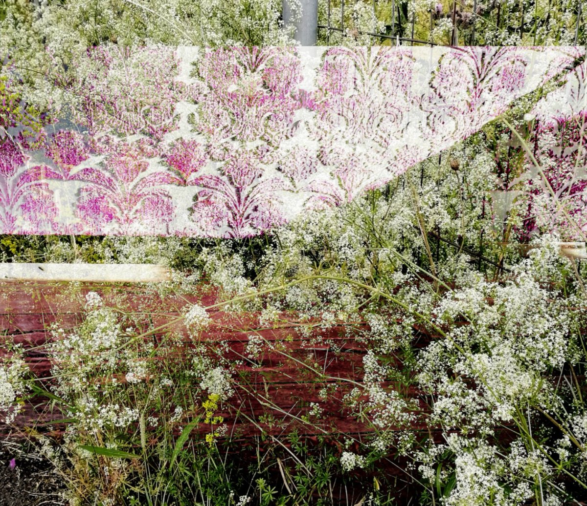y_isami's tweet image. Overlay #overlay #patternonpattern #photooftheday