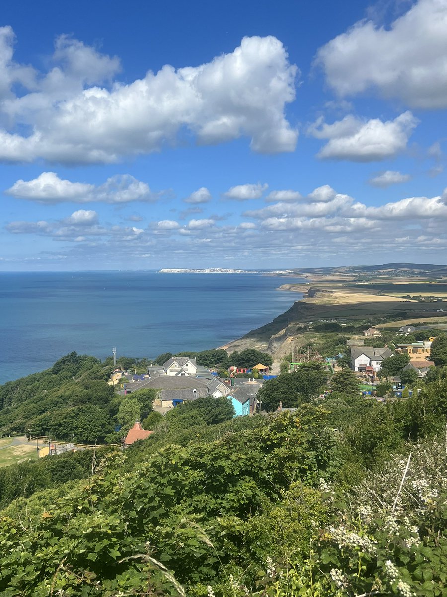 NewMini's tweet image. Blackgang View Point.