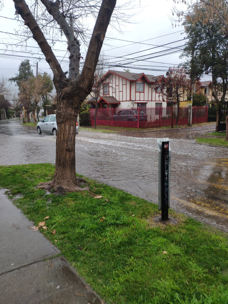 arayap21's tweet photo. @mpuentealto En lago yelcho con avenida la Florida es imposible cruzar https://t.co/wqUUtuvOa2
