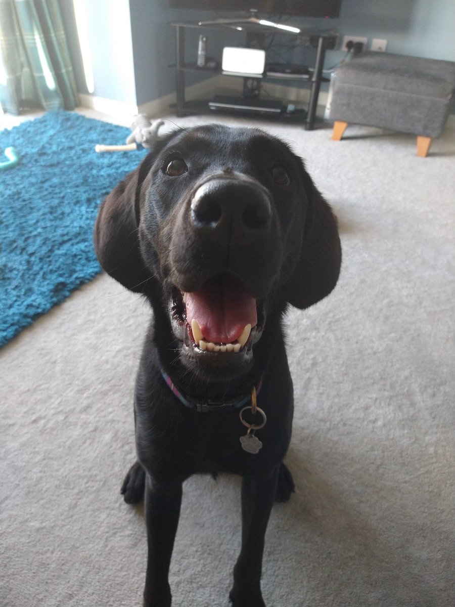 Vicky Chapman AssocCIPD tweet media