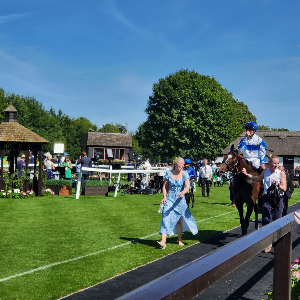 George Margarson Racing tweet media