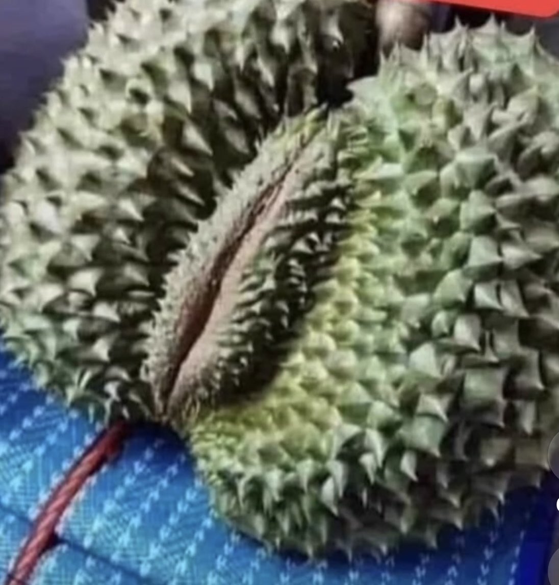 Từ khi mới lớn lên anh rất thích ăn sầu riêng
