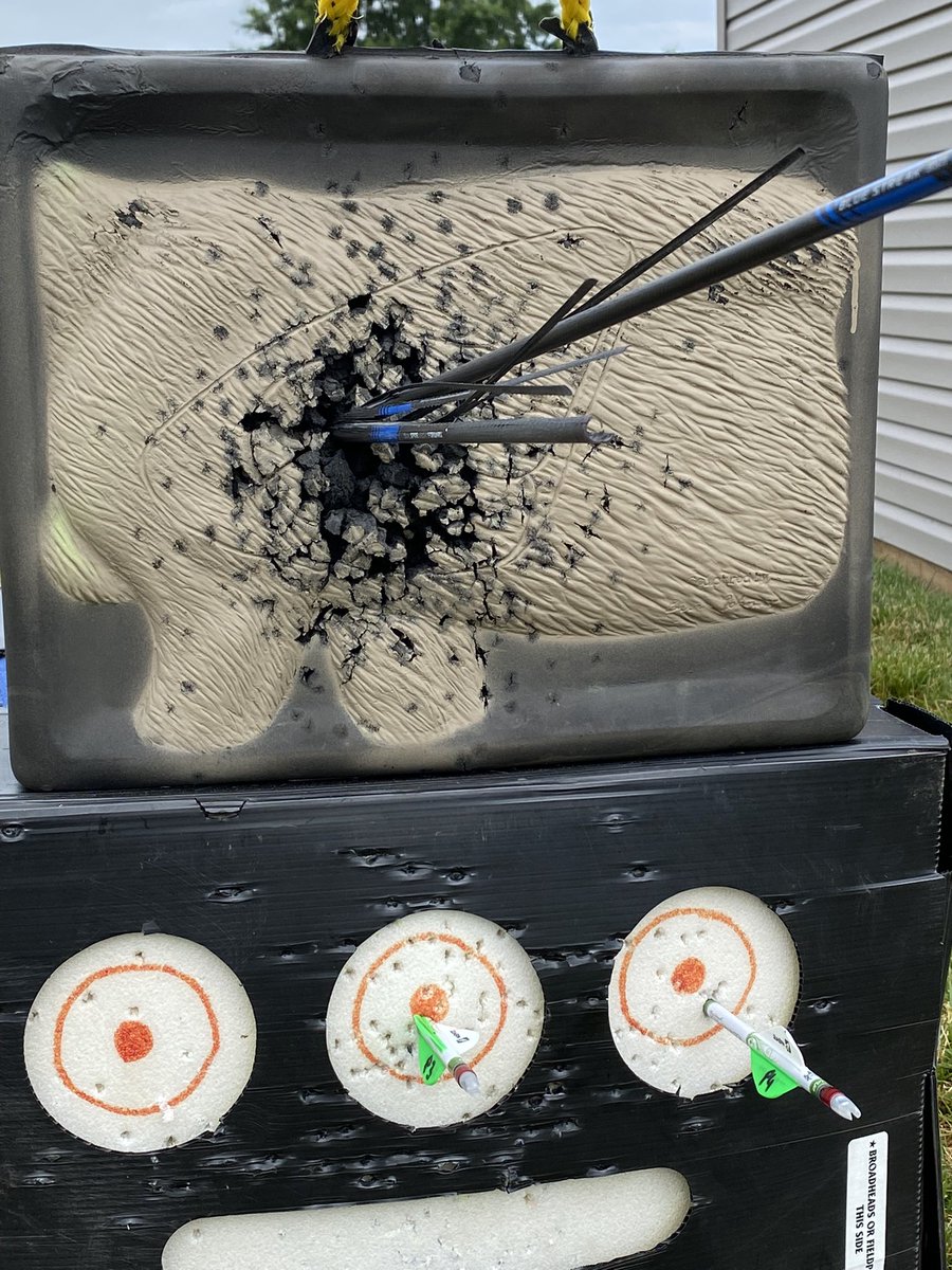 robwalter8's tweet photo. Practice makes perfect. Iโm putting in the work early this year. Hoping for tremendous success in 2022! ๐น๐ฏ๐ฆ #SplittingArrows #TeamMathews #VXR @Mathews_Archery @rwbiggun @GKal6 @Good_speed33 @edMAYzing @Staffieri1 https://t.co/0SYub2cYja