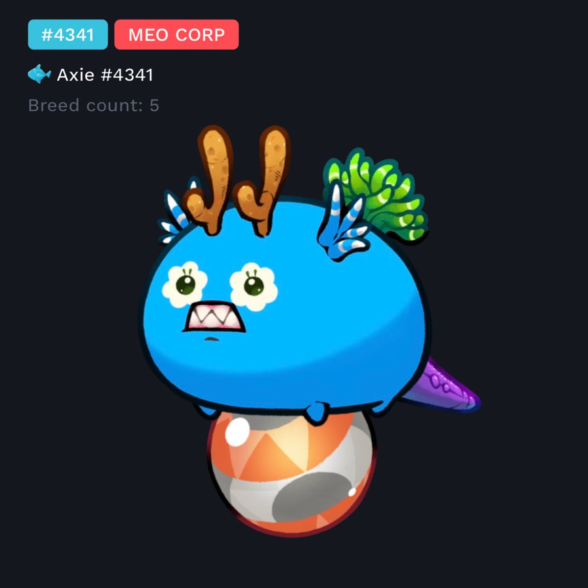 The Auction of my MEO CORP Axie, where funds will go 100% to help <a href="/AxieSalva/">Salva Vlez 🔥</a>'s family in C0VlD situation, ends in 1 hour.

Highest bid so far is from <a href="/SprRengoku/">SPR|Rengoku</a> for $450 🙏

In case anyone wants to bid more please comment in this tweet.