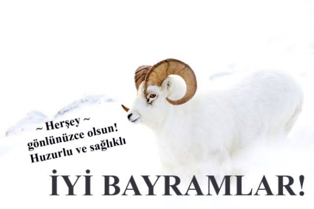 Ünal GÜRKAN / Gürkanfx (@gurkanfx) on Twitter photo 