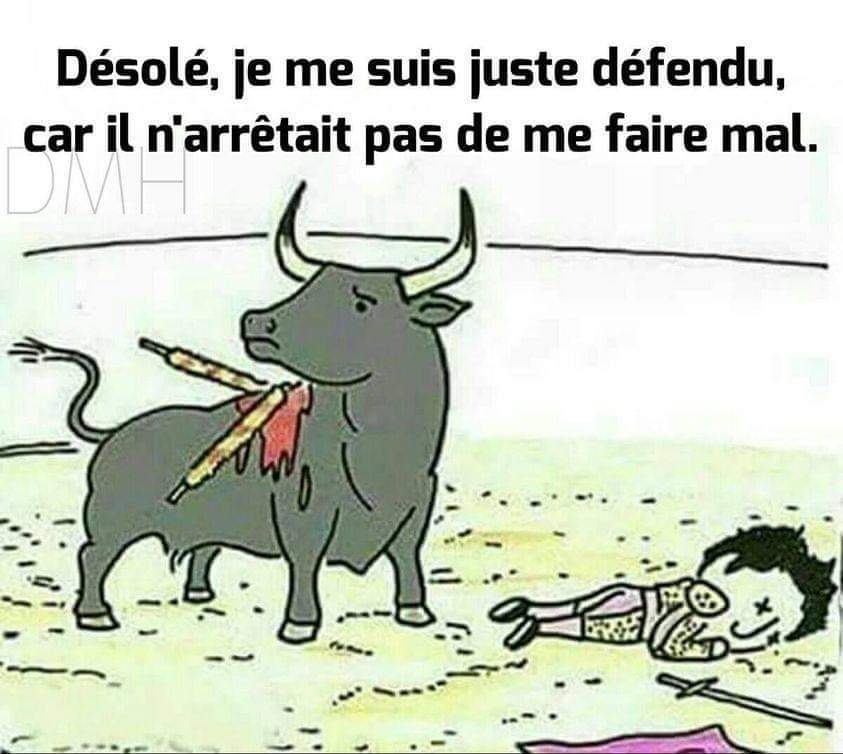 🌏 Planète Animaux tweet media