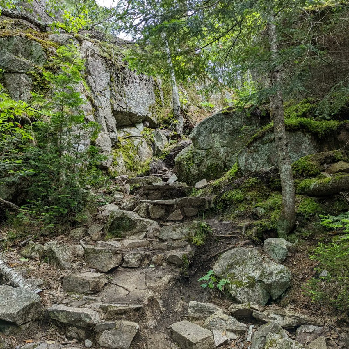 WeGetOutside With Gayle tweet media