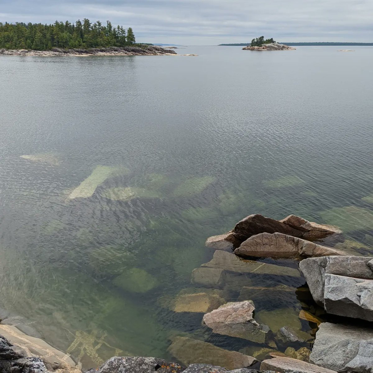 WeGetOutside With Gayle tweet media