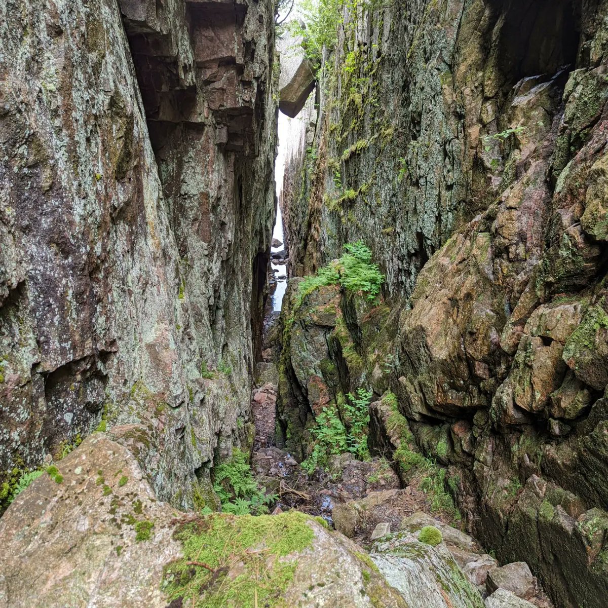 WeGetOutside With Gayle tweet media