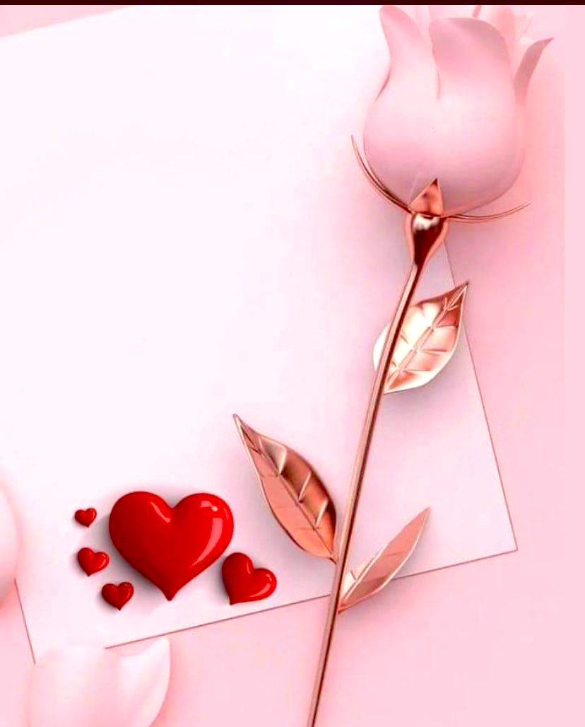 أبو أحمد الصداق tweet media