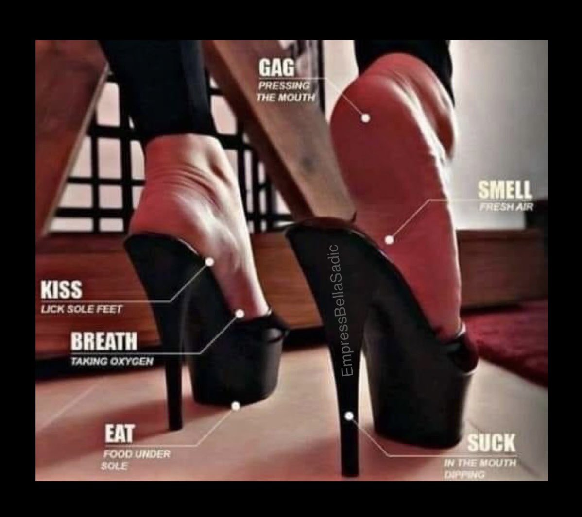 ImperatrizBella's tweet photo. Learn, because mistakes are not tolerated.
#empressbellasadic #addictedtomyfeet #bdsmlisboa #feetworship #pleaserheels #HighHeelsAddict #maturefeet #worshipme https://t.co/C2lcz8By7n