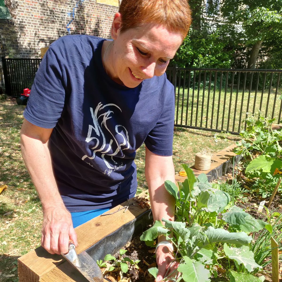 AnyoneCanGrow_'s tweet photo. Painting, gardening, gossiping happening in our Community Garden in Grange Park now until 6pm. Time for you to join in the fun. https://t.co/crXD80HA7R